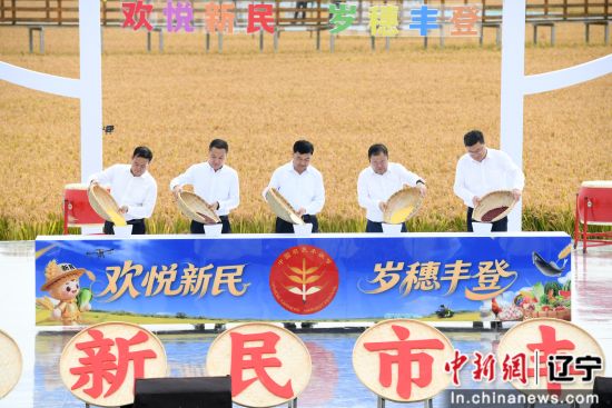 新民市用“二十二连丰”开启别样丰收嘉年华，今年粮食总产量预计达到23亿斤！