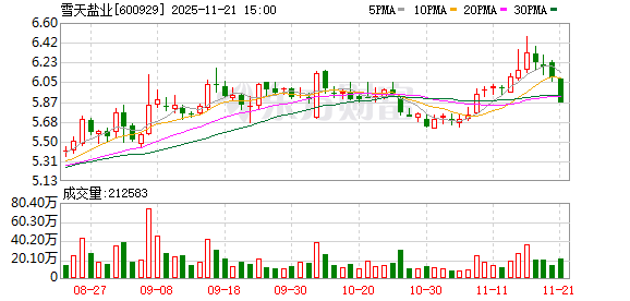 雪天盐业双轮驱动穿越周期