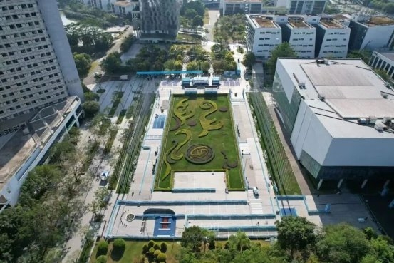 观赛必看！2025深圳国际人工智能环卫机器人大赛暨应用创新大赛观赛攻略来啦！